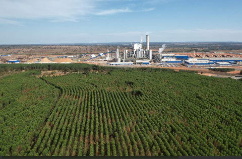 ICMBio cria reserva de 1,2 mil hectares de Cerrado em Ribas do Rio Pardo