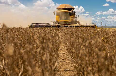 Soja em MS exige 42 sacas por hectare para cobrir custo na safra 2026/27