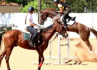Festival equestre terá provas de hipismo, três tambores e R$ 50 mil em prêmios Festival equestre terá provas de hipismo, três tambores e R$ 50 mil em prêmios