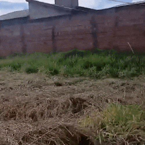 &Aacute;rea p&uacute;blica abandonada preocupa moradores da Vila S&atilde;o Jorge da Lagoa
