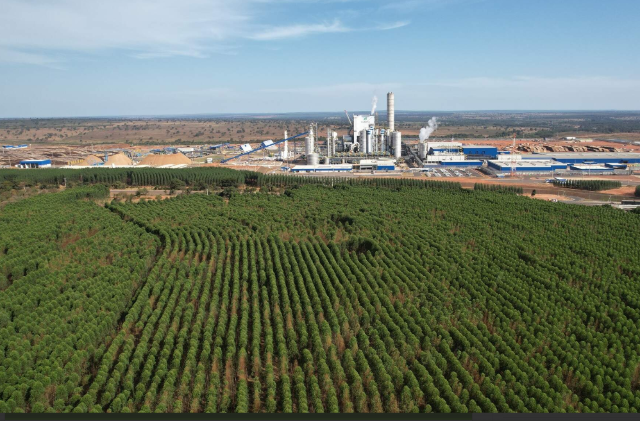 ICMBio cria reserva de 1,2 mil hectares de Cerrado em Ribas do Rio Pardo