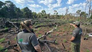 Combate ao tr&aacute;fico agora inclui reflorestamento de &aacute;reas devastadas