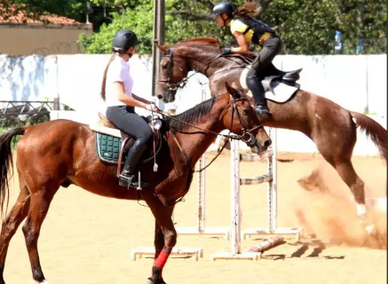 Festival equestre ter&aacute; provas de hipismo, tr&ecirc;s tambores e R$ 50 mil em pr&ecirc;mios