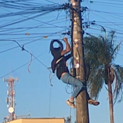Homem escala poste para furtar fios &agrave; luz do dia no Nova Lima