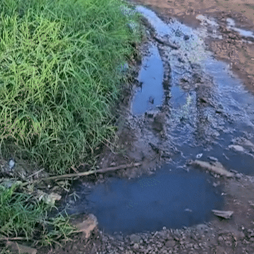 Moradores do Noroeste convivem com enxurrada de esgoto vinda de pres&iacute;dio
