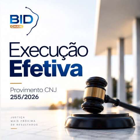 Execu&ccedil;&atilde;o efetiva: uma nova perspectiva para o leil&atilde;o judicial