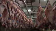 Venda de carne bovina de MS cai 28% em agosto com recuo da China