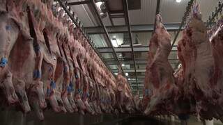 Venda de carne bovina de MS cai 28% em agosto com recuo da China Venda de carne bovina de MS cai 28% em agosto com recuo da China