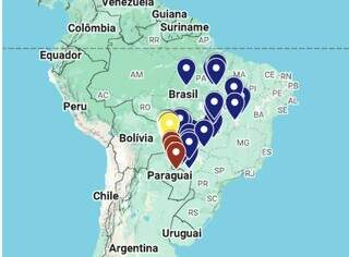 MS lidera contagem nacional de araras-azuis com 493 aves em 17 munic&iacute;pios