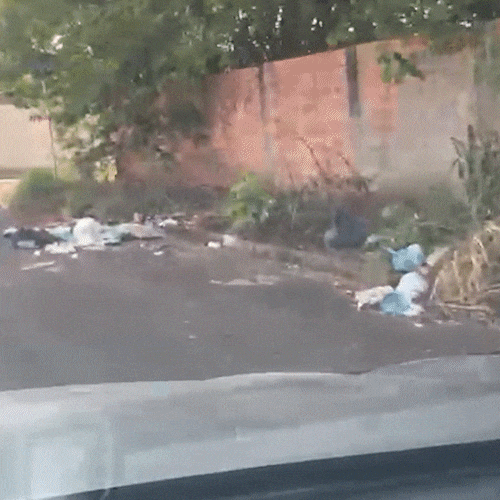 Lixo e mato alto tomam ruas e fazem moradora evitar at&eacute; passeio com cachorro