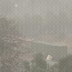 Vendaval derruba &aacute;rvores, rompe fios e deixa bairros sem luz em Tr&ecirc;s Lagoas