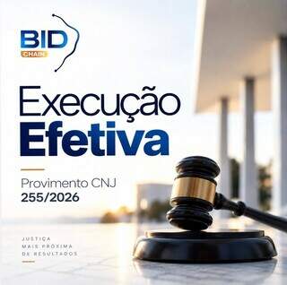 Execu&ccedil;&atilde;o efetiva: uma nova perspectiva para o leil&atilde;o judicial