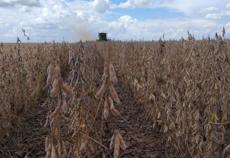 Produtores ganham nova chance para renegociar d&iacute;vidas rurais