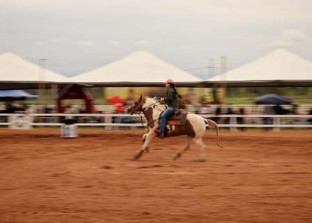Festival equestre &eacute; chance de despertar amor ao esporte
