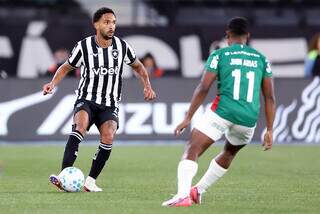 Palmeiras empata com Botafogo e perde lideran&ccedil;a para o Flamengo