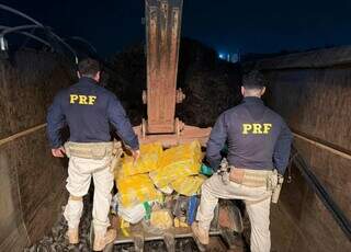 PRF apreende 3,4 toneladas de maconha em carreta e motorista &eacute; preso