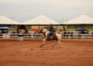 Festival equestre é chance de despertar amor ao esporte Festival equestre é chance de despertar amor ao esporte