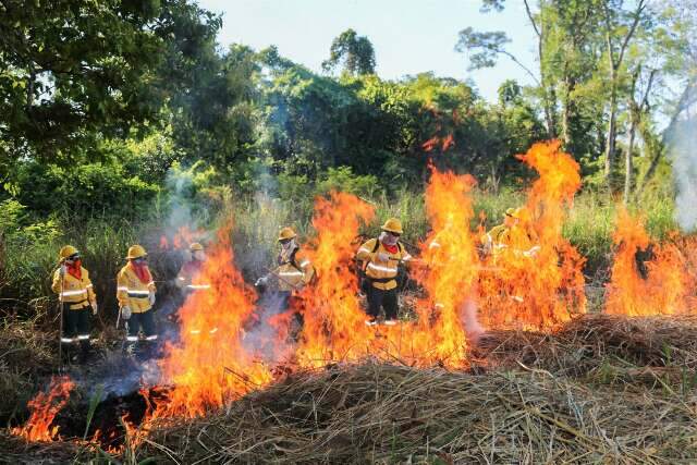 Brasil e Bol&iacute;via treinam equipes em curso in&eacute;dito contra inc&ecirc;ndios no Pantanal