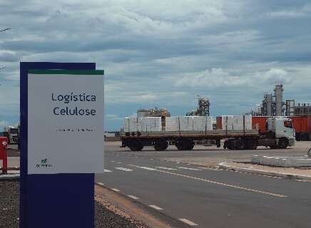 Celulose transforma perfil industrial de MS com salto em produ&ccedil;&atilde;o e exporta&ccedil;&otilde;es
