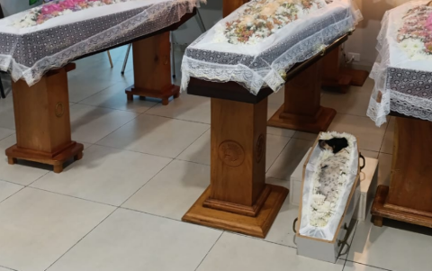 Pai e filhas ser&atilde;o velados lado a lado com cachorrinha ap&oacute;s acidente na rodovia