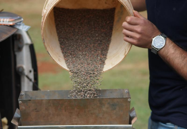 Soja come&ccedil;a a ser plantada dia 16 com produtividade de at&eacute; 52 sacas