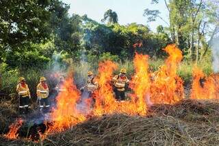 Brasil e Bolívia treinam equipes em curso inédito contra incêndios no Pantanal Brasil e Bolívia treinam equipes em curso inédito contra incêndios no Pantanal