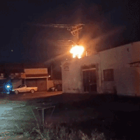 Queda de &aacute;rvore rompe cabo e provoca inc&ecirc;ndio em fia&ccedil;&atilde;o
