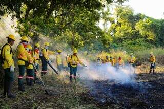 Brasil e Bolívia treinam equipes em curso inédito contra incêndios no Pantanal Brasil e Bolívia treinam equipes em curso inédito contra incêndios no Pantanal