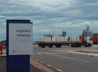 Celulose transforma perfil industrial de MS com salto em produção e exportações Celulose transforma perfil industrial de MS com salto em produção e exportações