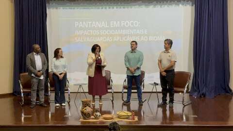 Estudo prop&otilde;e 27 medidas para orientar decis&otilde;es sobre o Pantanal