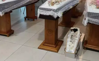 Após velório de cachorrinha, saiba se pets podem ser enterrados com tutores Após velório de cachorrinha, saiba se pets podem ser enterrados com tutores