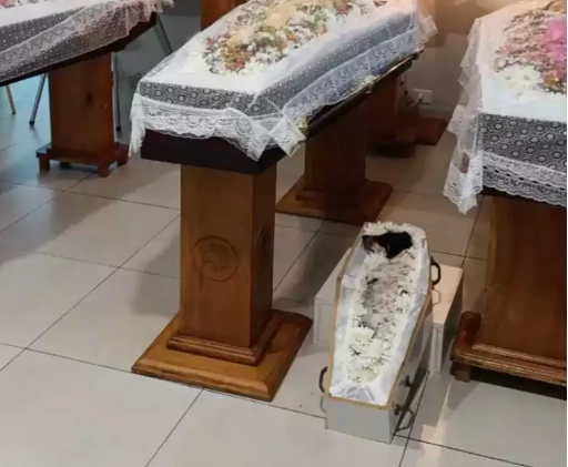 Pai e filhas s&atilde;o velados lado a lado com cachorrinha ap&oacute;s acidente na rodovia