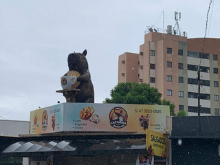 Vento derruba capivara gigante que virou "ponto turístico" da Capital Vento derruba capivara gigante que virou "ponto turístico" da Capital