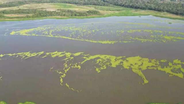 Usina suspende libera&ccedil;&atilde;o de plantas no Rio Pardo ap&oacute;s pedido do Imasul