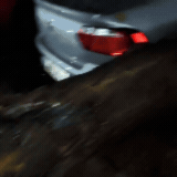 Rajada de 80 km/h derruba &aacute;rvore sobre carros no Hospital Universit&aacute;rio