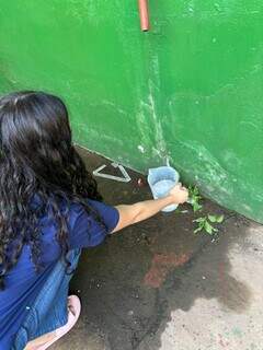 Água que escorria no corredor vira horta e projeto científico em escolas de MS Água que escorria no corredor vira horta e projeto científico em escolas de MS