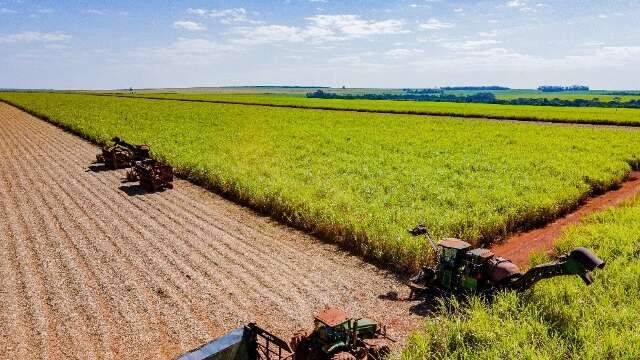 Corante verde no etanol pode exigir adequa&ccedil;&otilde;es nas usinas de MS e elevar custos 