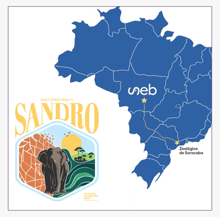 Mais um na rota de MS: elefante "Sandro" cruzar&aacute; o Estado rumo a Santu&aacute;rio