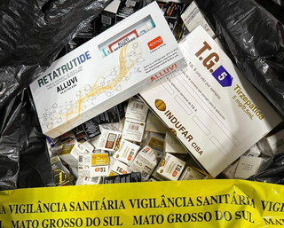 Paraguai defende seguran&ccedil;a de canetas que cruzam a fronteira por MS