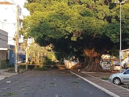 Prefeita decreta emerg&ecirc;ncia ap&oacute;s temporal que espalhou estragos por Campo Grande