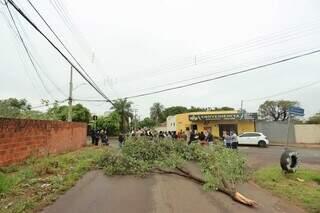 Sem luz desde quinta, moradores fecham rua com galhos em protesto Sem luz desde quinta, moradores fecham rua com galhos em protesto
