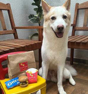 Cachorro-quente para cães? Lindy transforma fast-food em lanche pet Cachorro-quente para cães? Lindy transforma fast-food em lanche pet