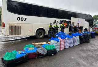 Ônibus que saiu de MS levava carga recorde de 746 kg de folhas de coca Ônibus que saiu de MS levava carga recorde de 746 kg de folhas de coca