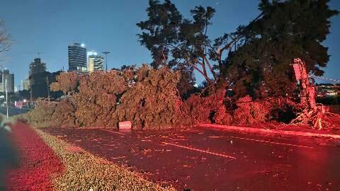 Ap&oacute;s temporal, TJMS suspende prazos que venciam no dia 10 na Capital