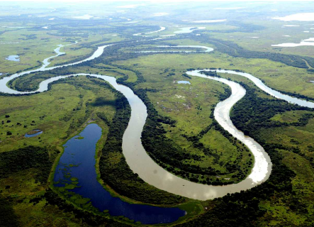 Falta de regras t&eacute;cnicas deixa prote&ccedil;&atilde;o do Pantanal vulner&aacute;vel, avalia jurista