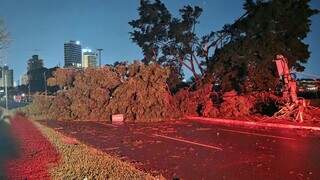 Após temporal, TJMS suspende prazos que venciam no dia 10 na Capital Após temporal, TJMS suspende prazos que venciam no dia 10 na Capital