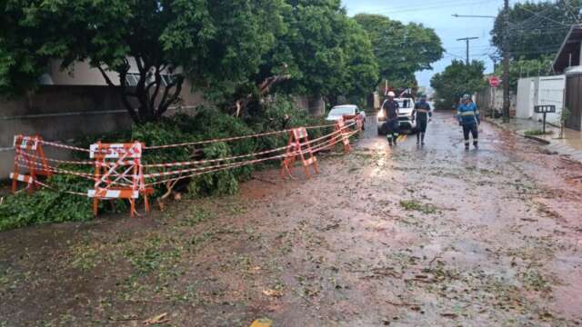 Temporal de quinta deixou bairros sem &aacute;gua e gerou 3,8 mil chamados
