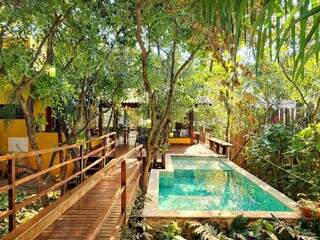 Casa se esconde entre árvores e tem até piscina no meio da mata Casa se esconde entre árvores e tem até piscina no meio da mata