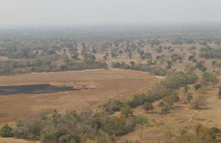 Donos de fazenda onde caminhão pegou fogo firmam acordo por área queimada Donos de fazenda onde caminhão pegou fogo firmam acordo por área queimada