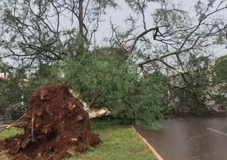 Cidade de MS entra na lista das recordistas em tornados no Brasil Cidade de MS entra na lista das recordistas em tornados no Brasil